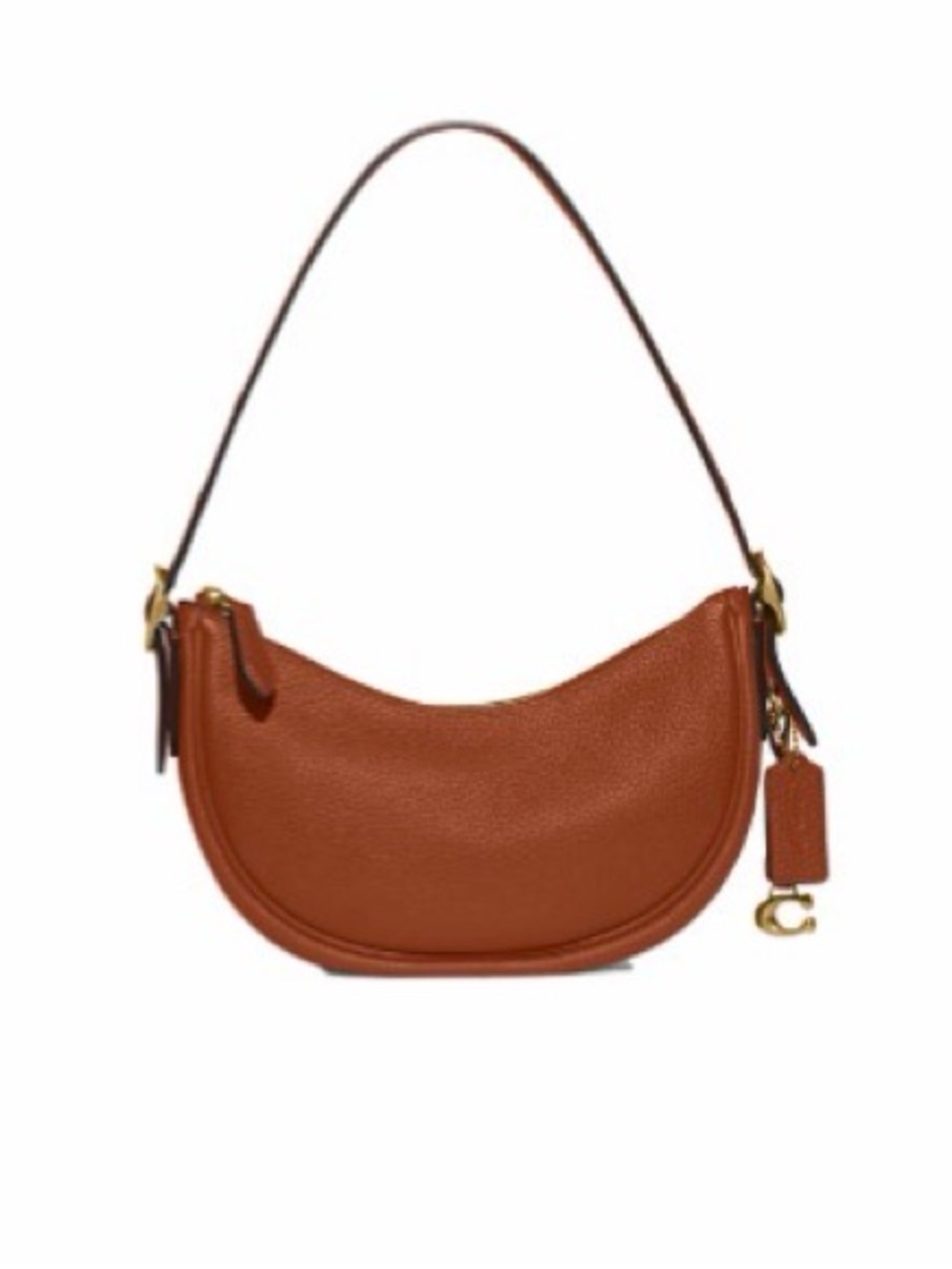 COACH Luna Small Hobo Bag in Brown - Picture 5 of 6